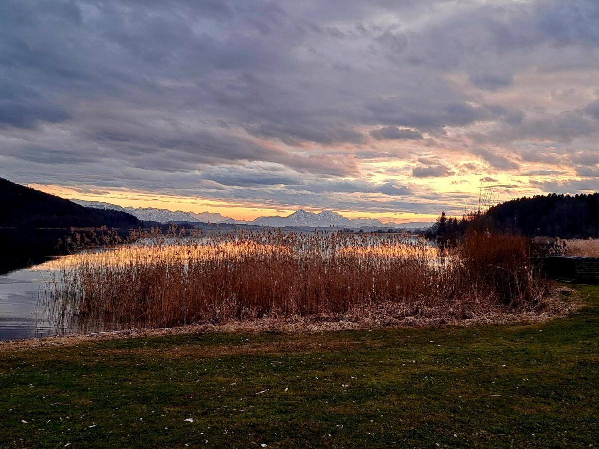 Ferienwohnung Wallersee Neumarkt am Wallersee Ngoại thất bức ảnh